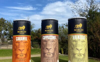 ¿Por qué las latas inflables gigantes atraen más visitantes en ferias y eventos?